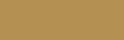 background-1.png